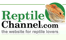 Our article in Reptile Magazine